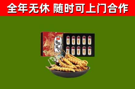明水回收冬虫夏草价格