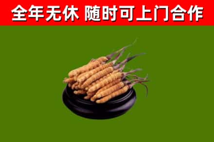 明水回收冬虫夏草
